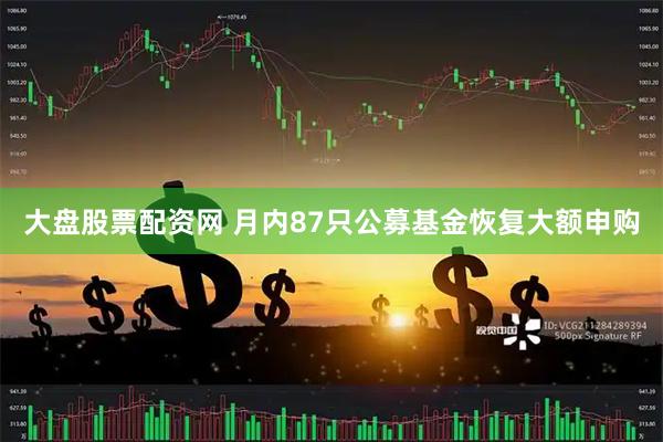 大盘股票配资网 月内87只公募基金恢复大额申购