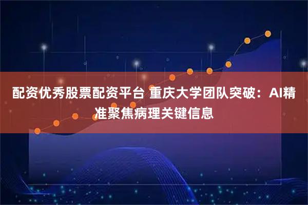 配资优秀股票配资平台 重庆大学团队突破：AI精准聚焦病理关键信息